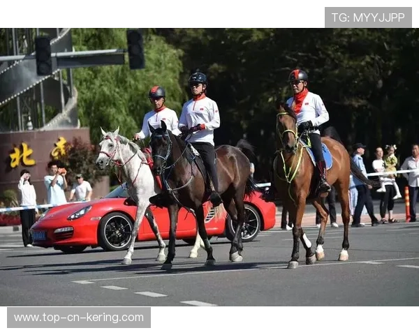 西班牙马术科研团队研发出新型马术训练设备,助力骑手提升技能。 西班牙马术科研团队研发出新型马术训练设备,助力骑手提升技能。